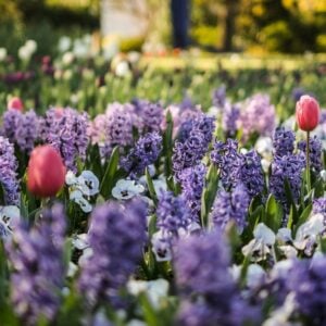 Spring selling season is here. What’s different in 2026?